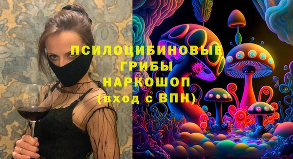 apvp Гусев